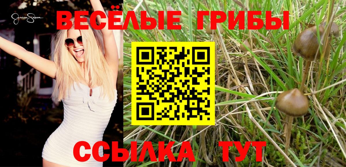 Псилоцибиновые грибы MAGIC MUSHROOMS  Вход с VPN  сколько стоит  Ковров 